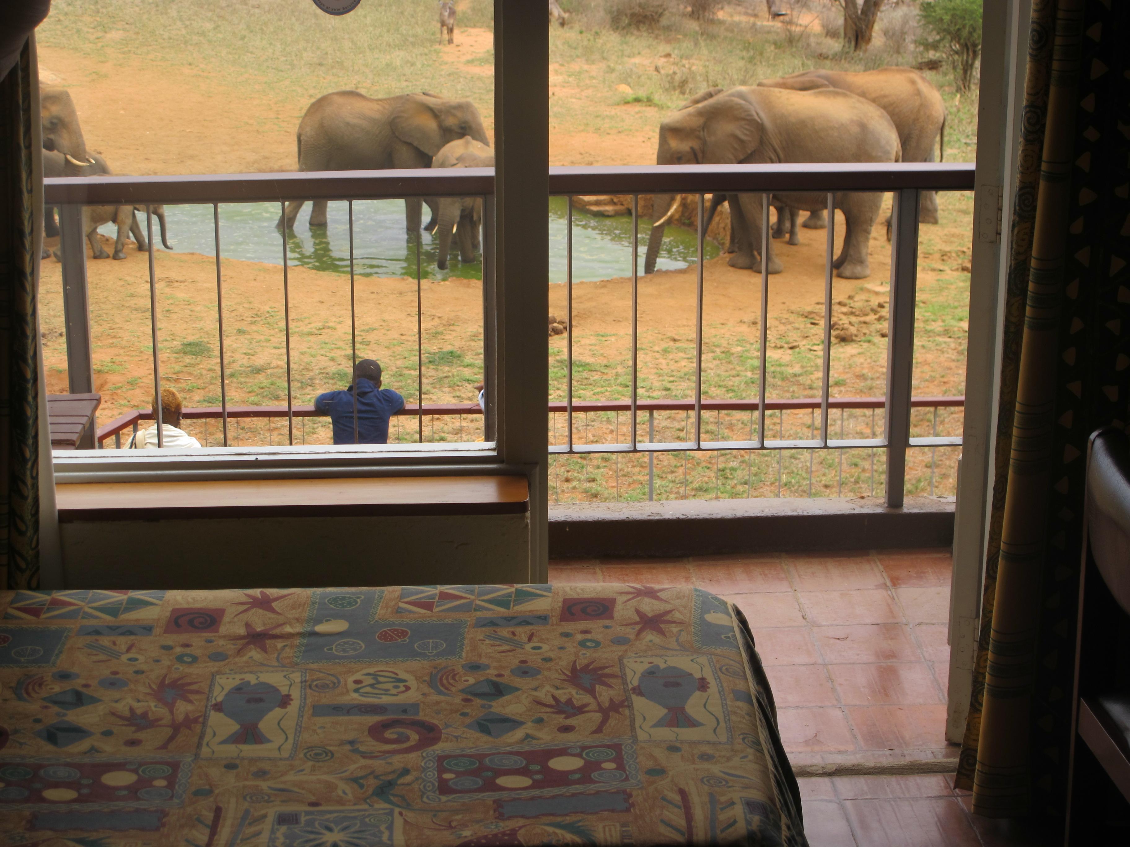 Tsavo Ngulia Safari Lodge מראה חיצוני תמונה