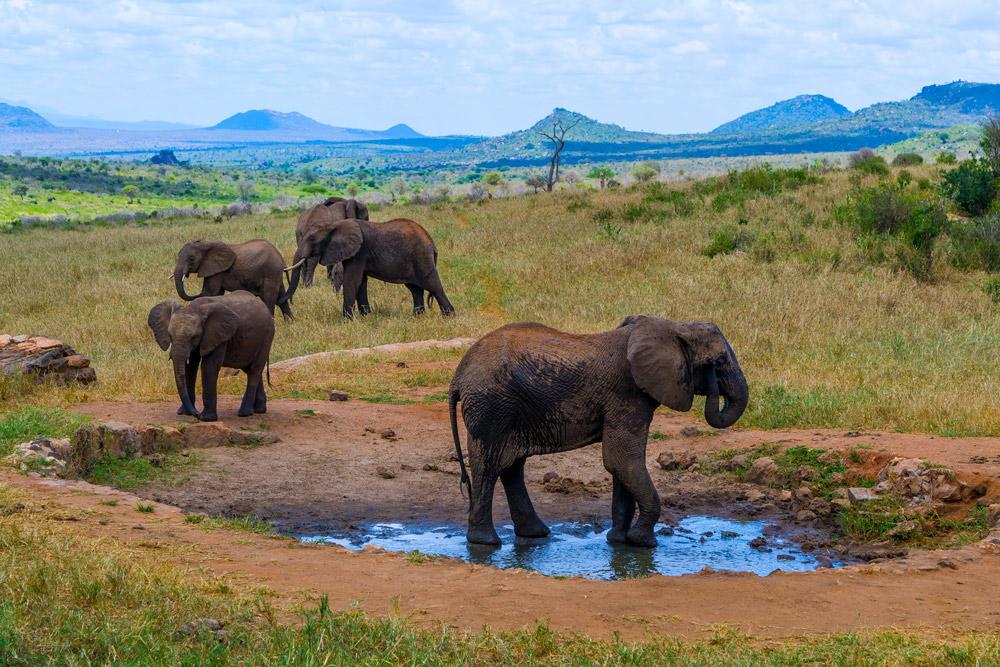 Tsavo Ngulia Safari Lodge מראה חיצוני תמונה
