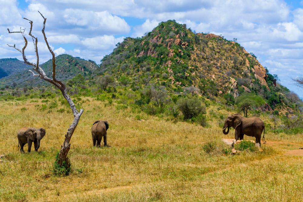 Tsavo Ngulia Safari Lodge מראה חיצוני תמונה