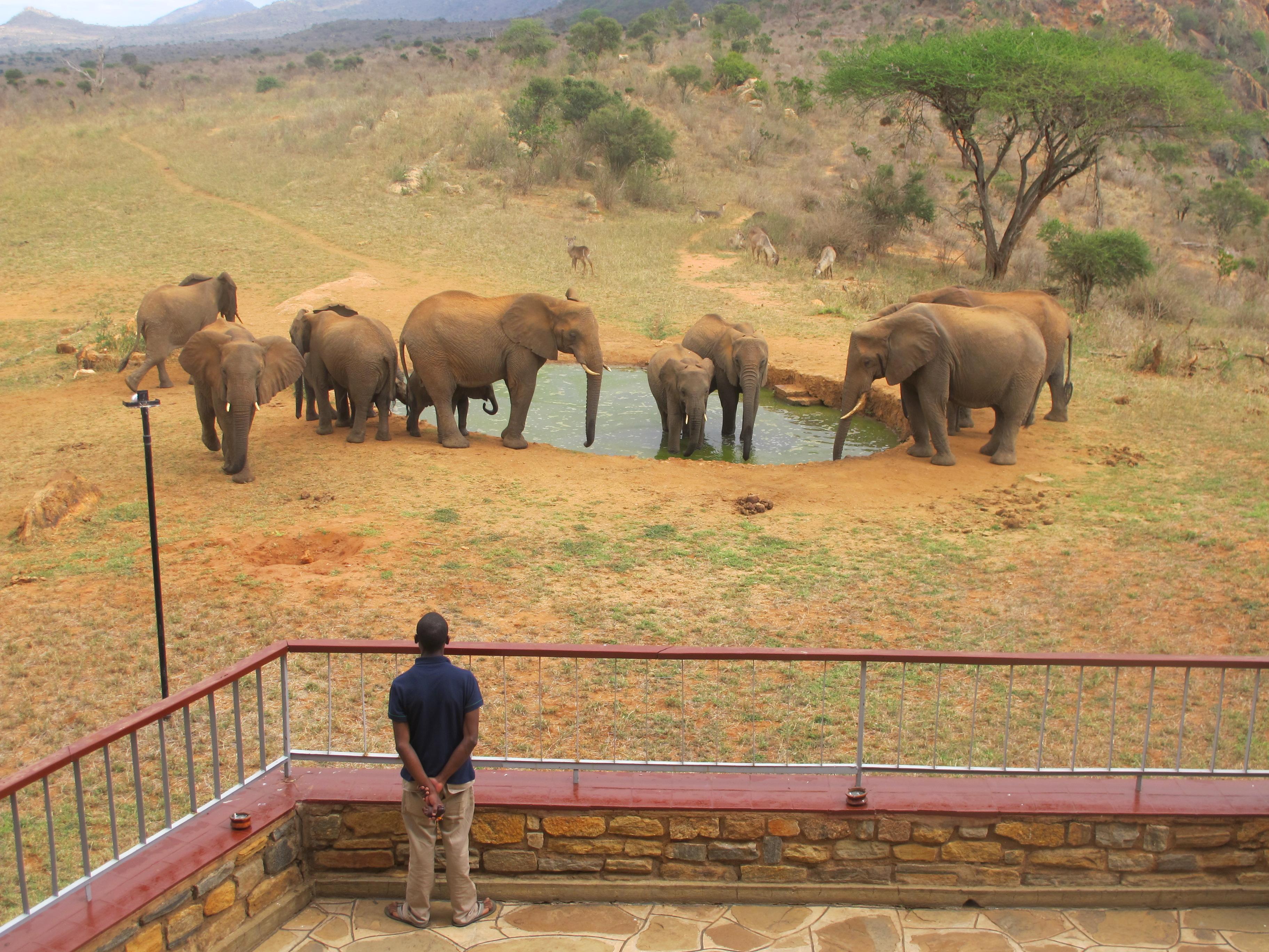 Tsavo Ngulia Safari Lodge מראה חיצוני תמונה